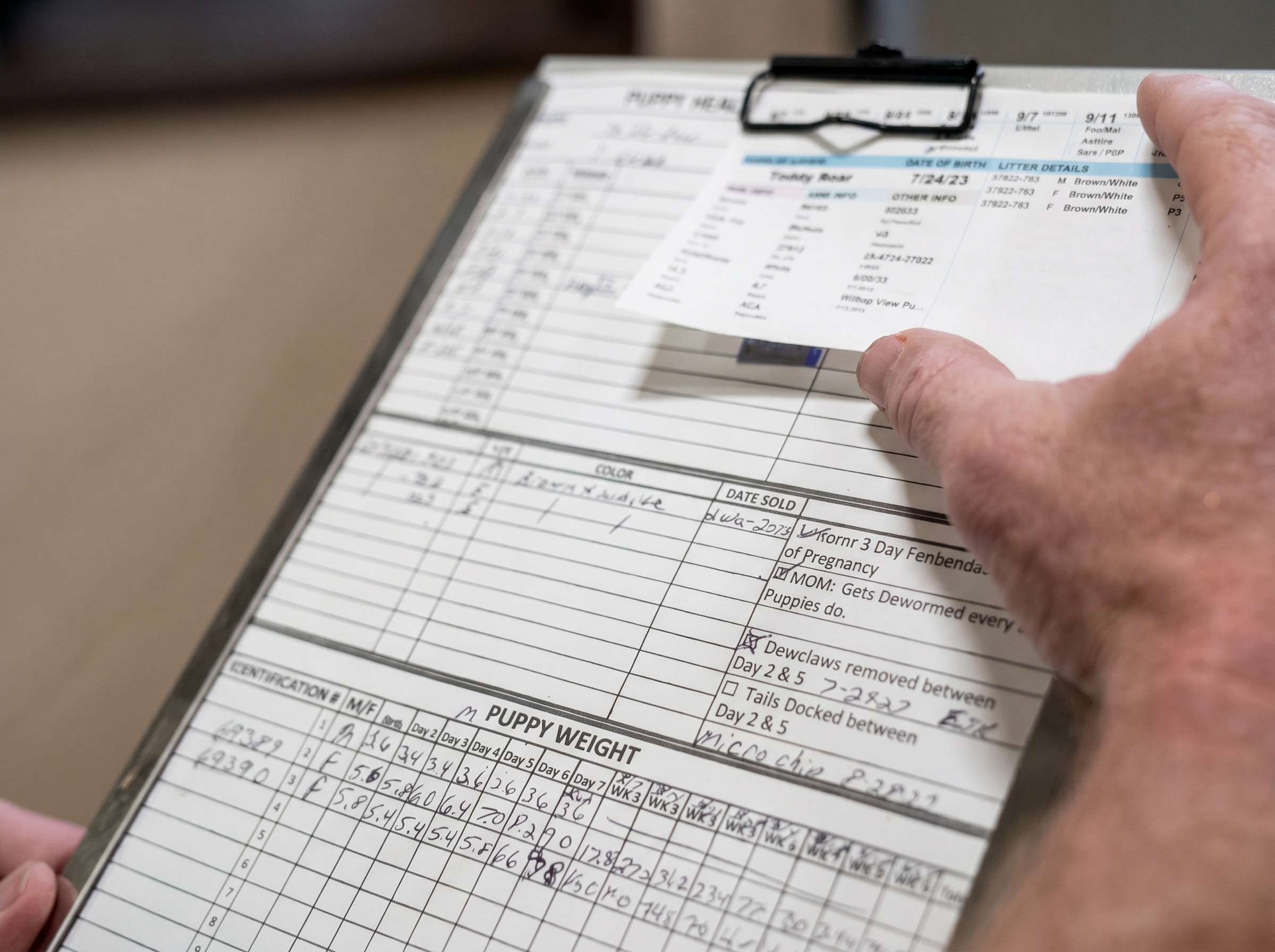 Structured documentation and development tracking for each Puppy Love PR litter