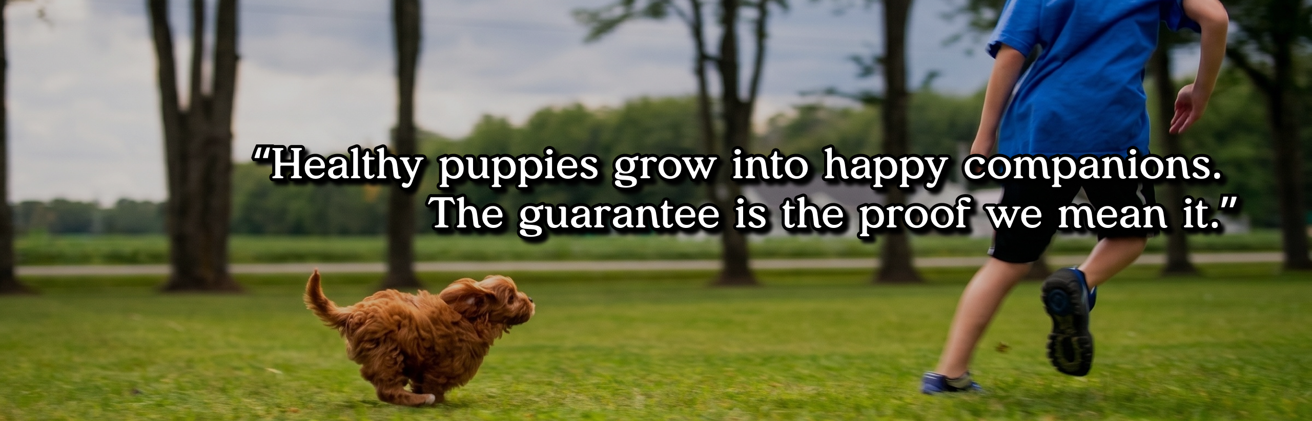 Healthy puppies grow into happy companions. The guarantee is the proof we mean it.