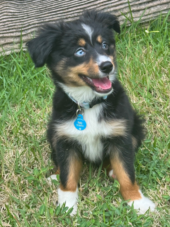 ROCKY