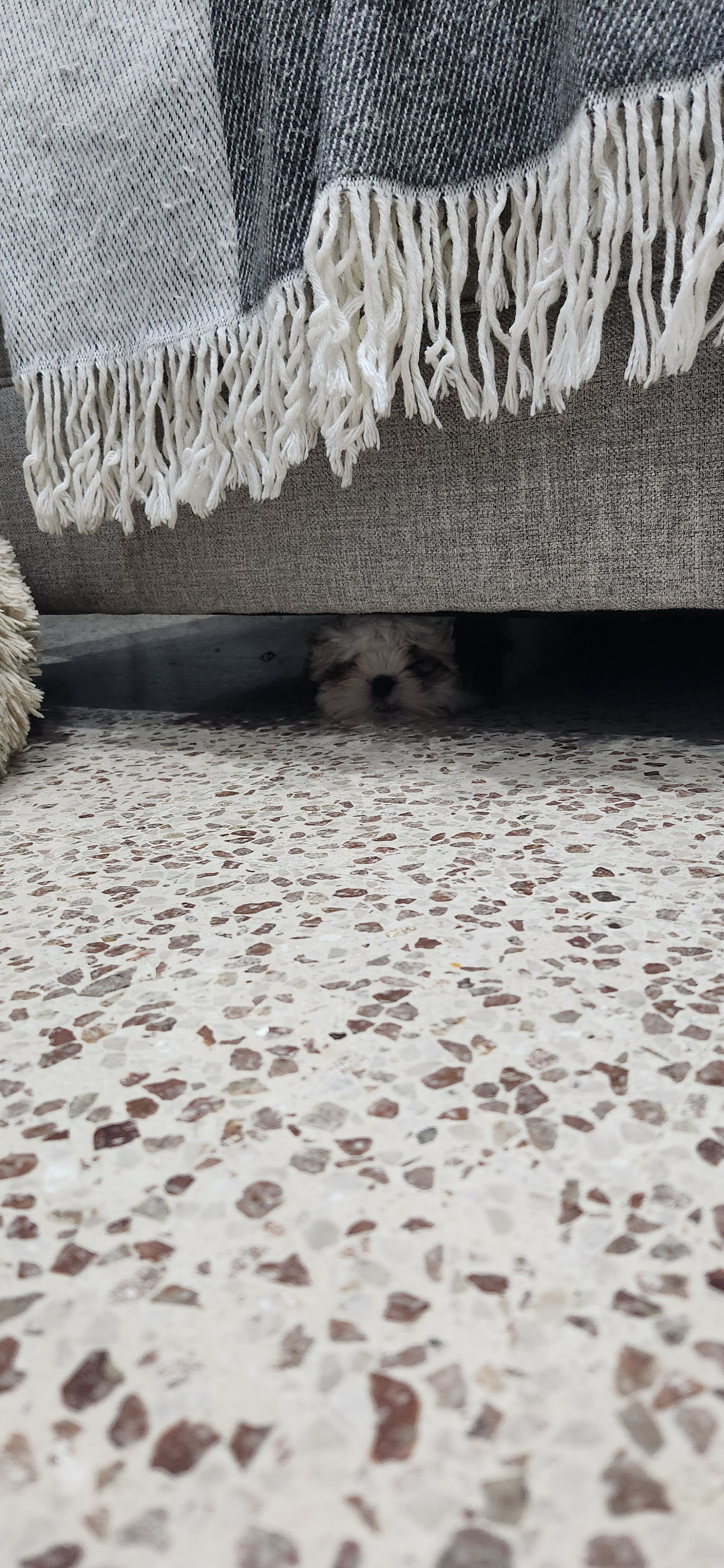Friendly Teddy Bear Baby