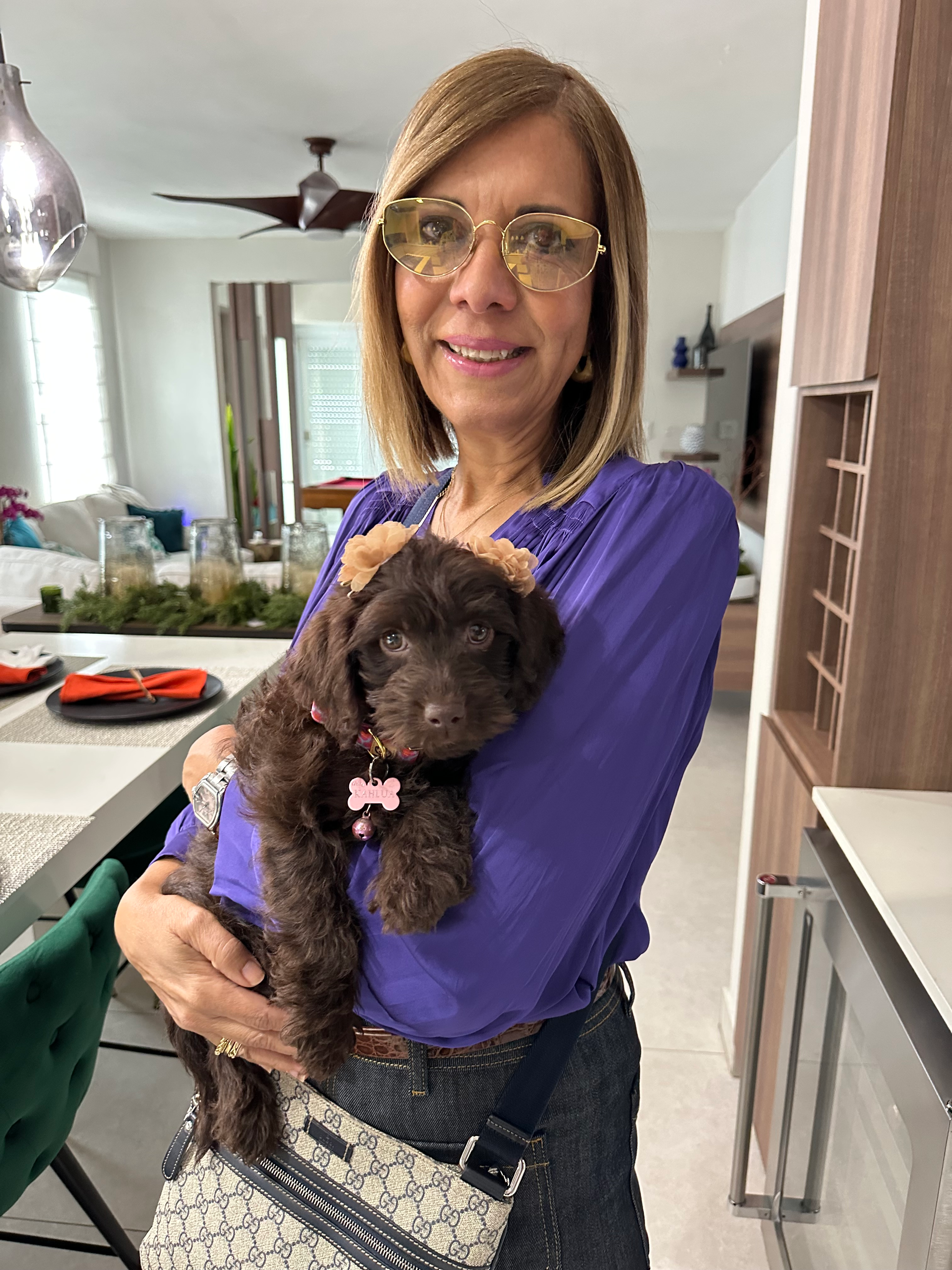 Happy Mini Labradoodle Baby