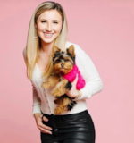 Cute Yorkshire Terrier Purebred Pup Cute Yorkshire Terrier Purebred Pup