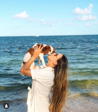 Cute Cavalier King Charles Spaniel Purebred Pup Cute Cavalier King Charles Spaniel Purebred Pup