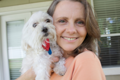 Cute Maltese Purebred Pup Cute Maltese Purebred Pup