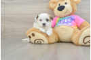 Best Teddy Bear Baby