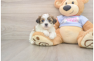 Friendly Teddy Bear Baby