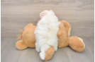Best Teddy Bear Baby