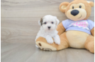 Friendly Teddy Bear Baby