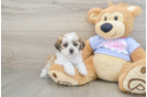 Best Teddy Bear Baby