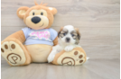 Cute Teddy Bear Baby