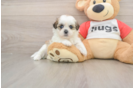 Best Teddy Bear Baby