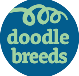 Doodle Breeds Puppies For Sale - Puppy Love PR