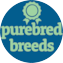 Purebred Breeds Puppy For Sale - Puppy Love PR